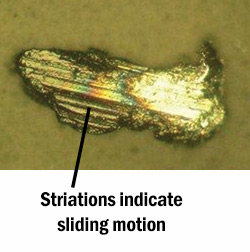 Bennett Sliding wear Particle