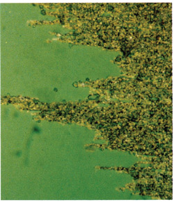 chemical corrosive wear