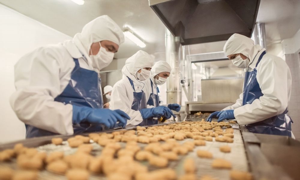 A group of workers in protective clothing, masks, and gloves inspecting or preparing cookies on a conveyor belt in a food manufacturing facility.