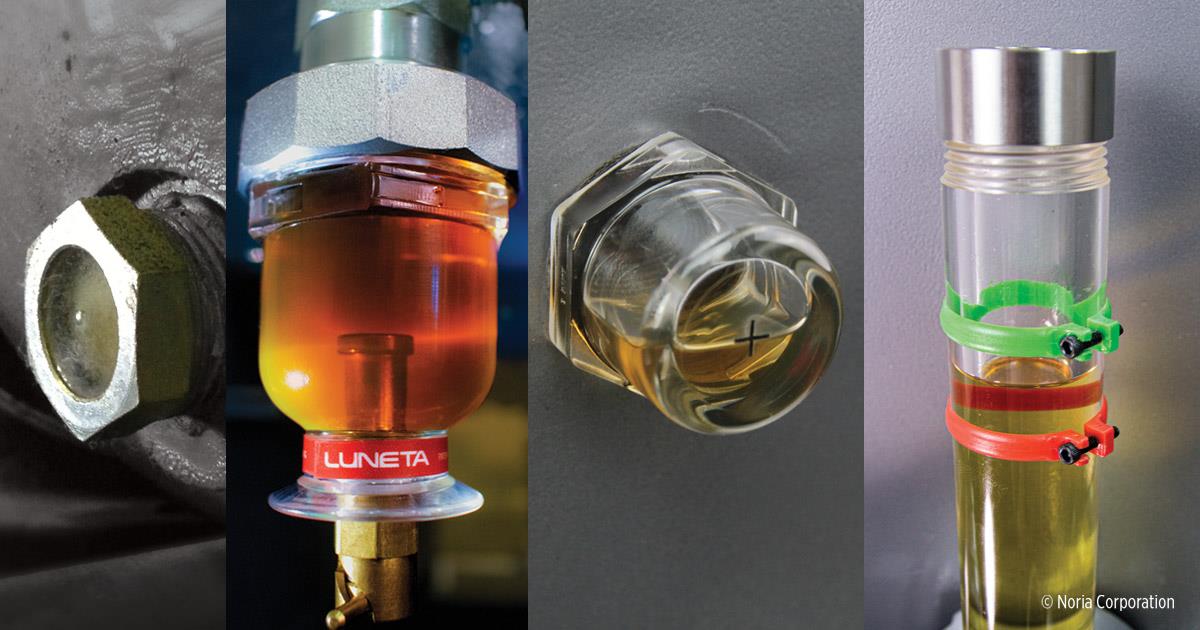 A series of four images showcasing different types of fuel filters used in various mechanical or automotive applications. The first image shows a close-up of a metal fuel filter with a hexagonal nut. The second image features a transparent, yellowish fuel filter attached to a metal fitting, with a red "LUNETA" label at the bottom. The third image displays a clear, cylindrical fuel filter with visible liquid inside, mounted on a gray surface. The fourth image depicts a transparent fuel filter with multiple colored clips (green and red) securing it in place, filled with a yellowish liquid.